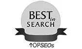 Top SEOs Awards Badge